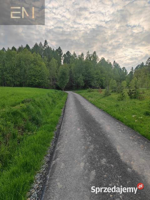 Działka Hadle Kańczuckie 33000m2