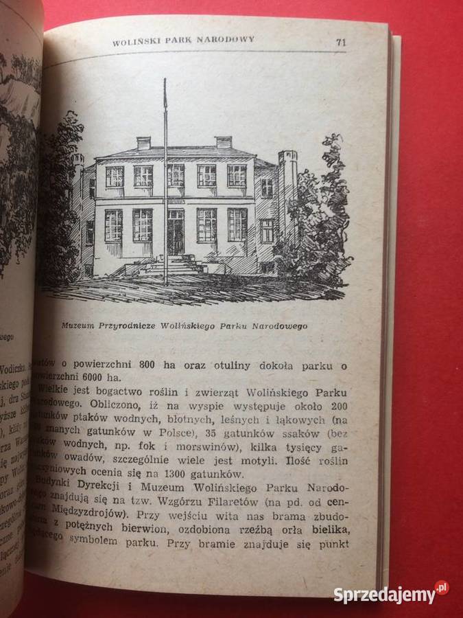 606 Świnoujście I sprzedam