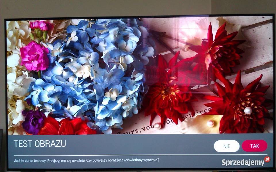 LG OLED 55 FHD mazowieckie Warszawa
