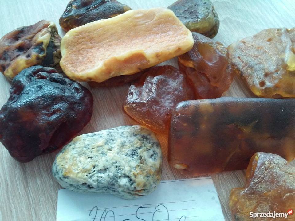 Bursztyn Bałtycki 2050 g 363g Gdynia