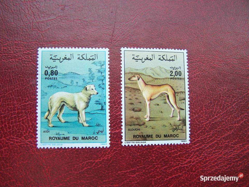 Maroko 1984 MNH Mi 106162 śląskie Tychy