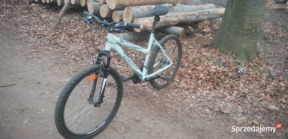 Kross evado Chrzanów