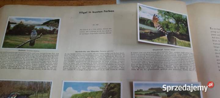 album z kolekcją ptaków z niemieckiego świata Warszawa sprzedam