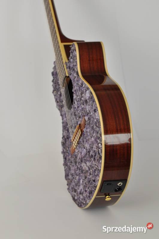 WYJĄTKOWA Gitara elektroklasyczna IBANEZ