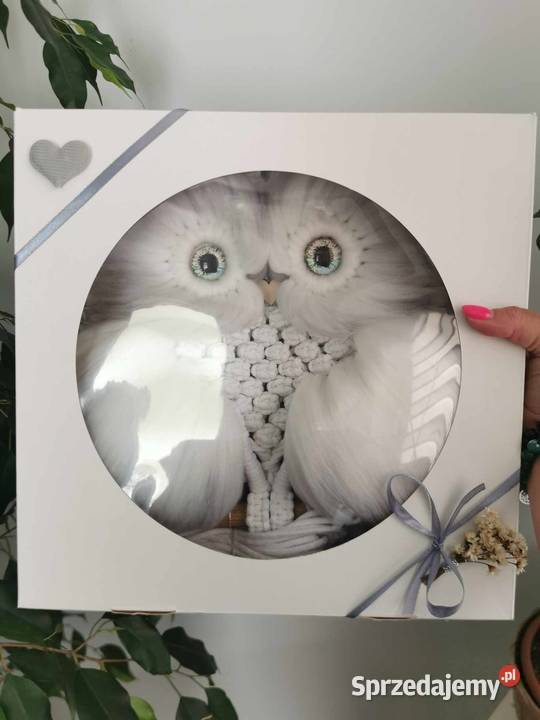 Półka sowa makrama Oława sprzedam