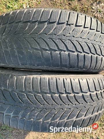 Opony 20560 R16 Dębica Lututów