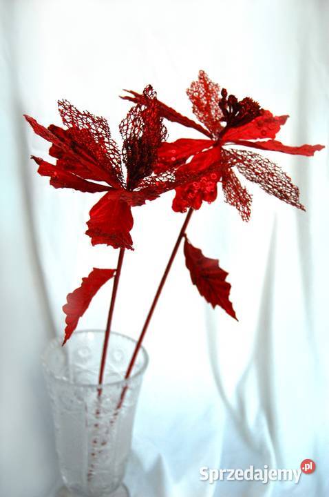 Gwiazda betlejemska na piku 72 dekoracja czerwony Lublin