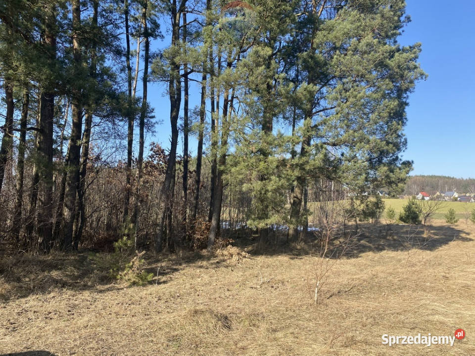 Twój azyl na Kaszubach Sprzedaż Sikorzyno
