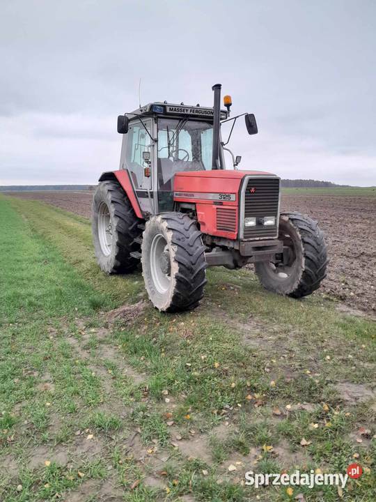 Massey Ferguson 3125 Dynashift Rolnictwo Babczów