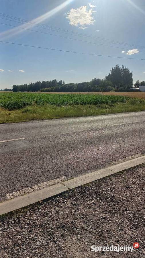 Sprzedam działkę rolnozagrodową Parczew lubelskie