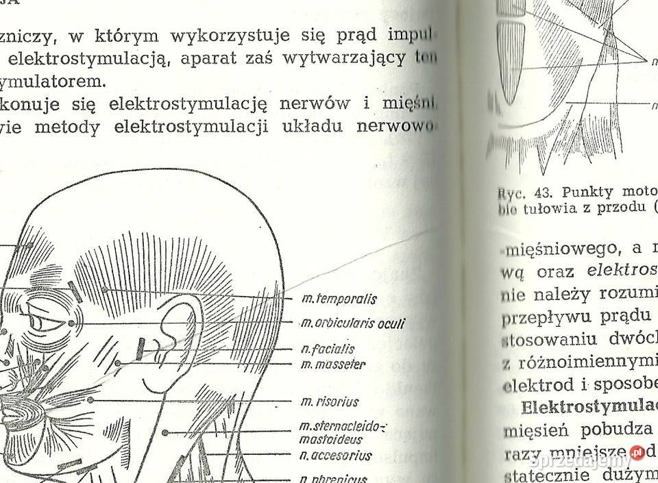 Fizykoterapia podręcznik medycyna fizjoterapia medycyna, nauki medyczne