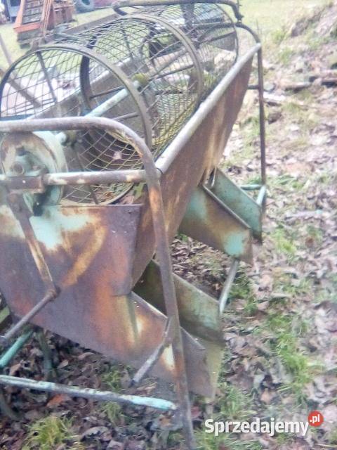 Sortownik do ziemniaków Pilica