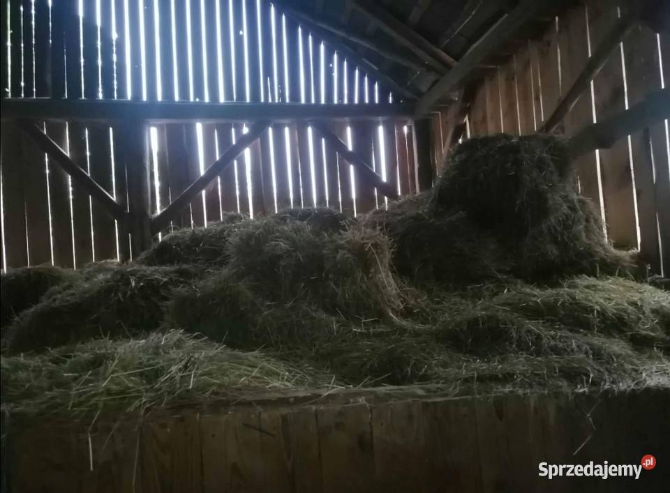 Sprzedam siano i słomę podkarpackie Rozbórz Okrągły