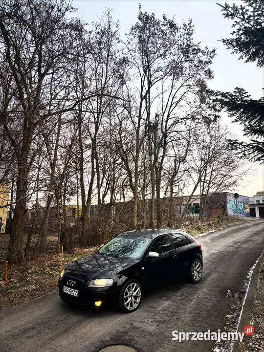 Audi a3 8p śląskie