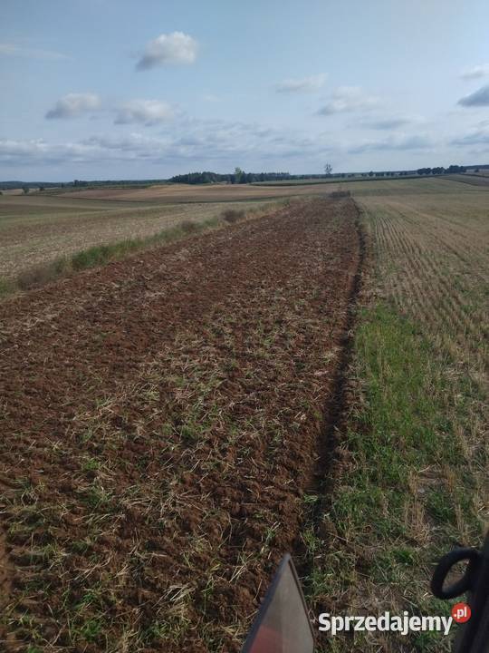 Talerzowka strumyk 210m z walkami stan nowa Lubawa