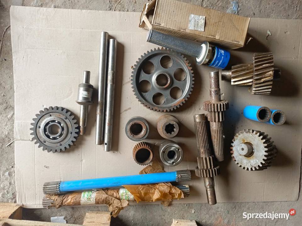 Wał Tuleja Koło Bizon Kuźnica