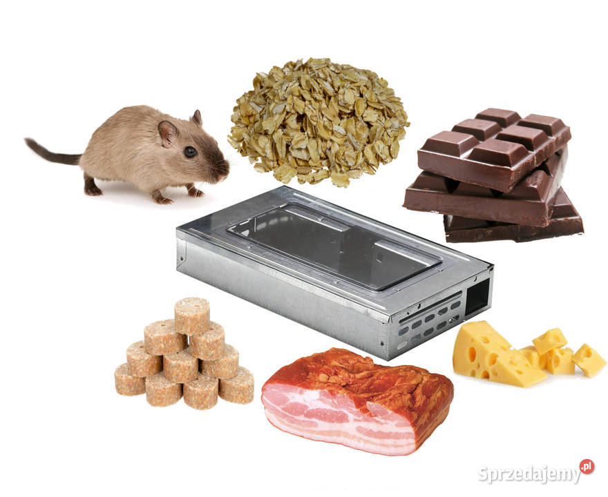 Pułapka na myszy chwytacz żywołapka metalowa śląskie