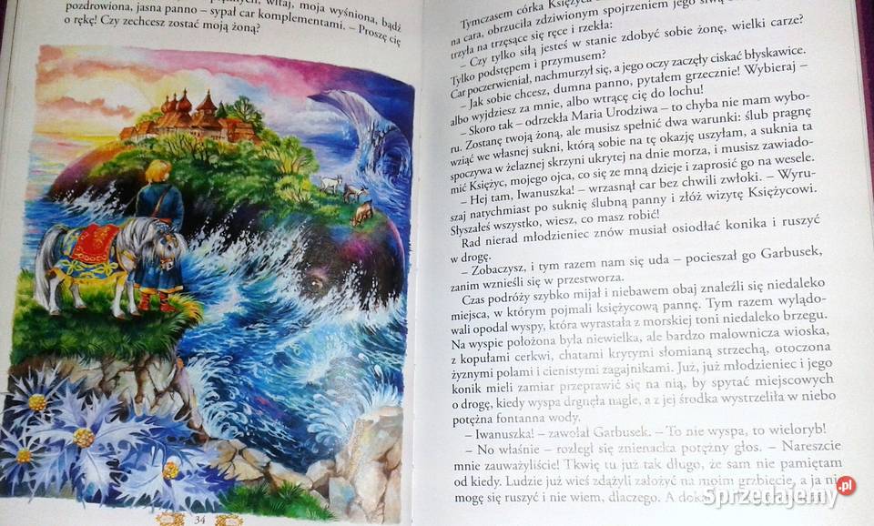 Konik garbusek i inne bajki praca zbiorowa Chełm