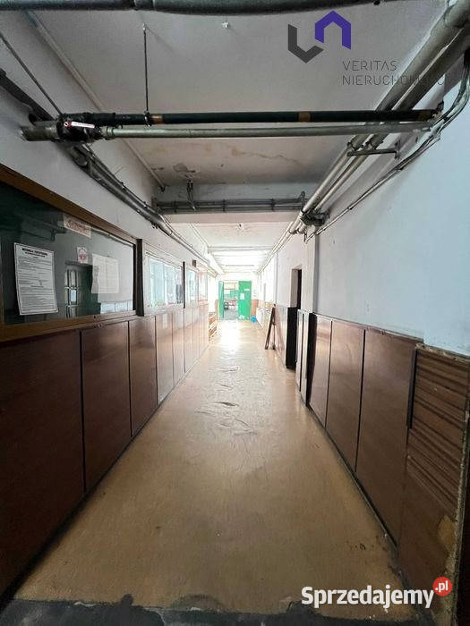 wynajmu lokalu Mysłowice 1200m2