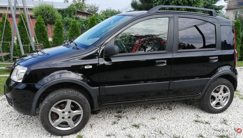 Fiat Panda 4x4 kupiony w Polsce