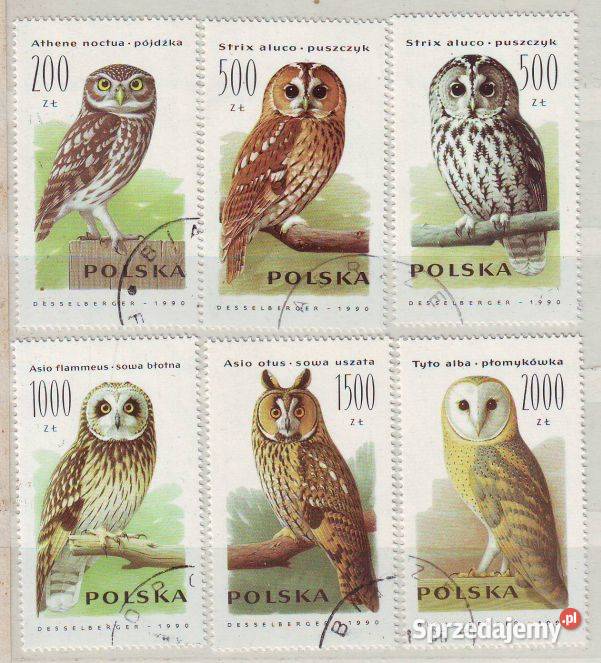 Zn Fi 3146 51 kas 1990