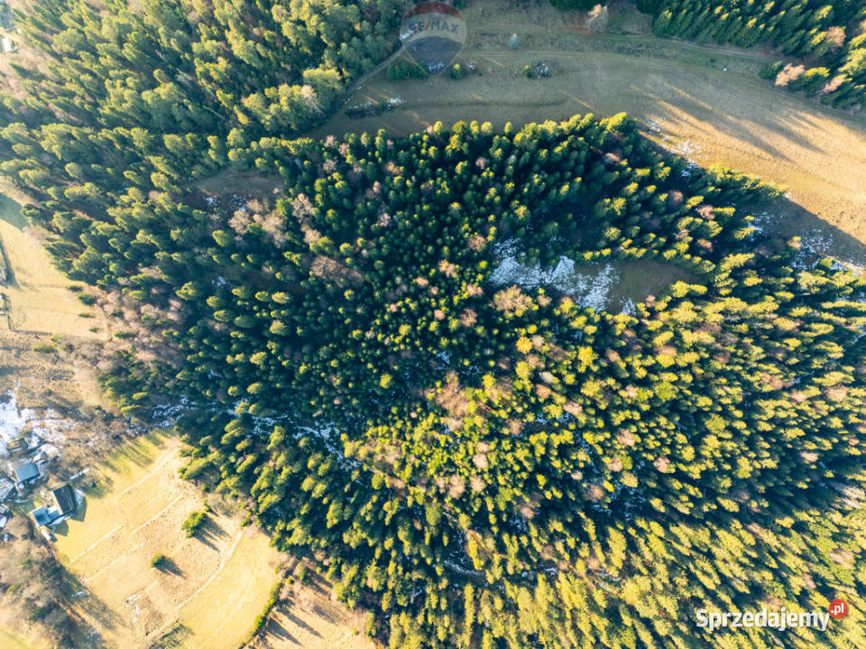 Grunt Harklowa sprzedam