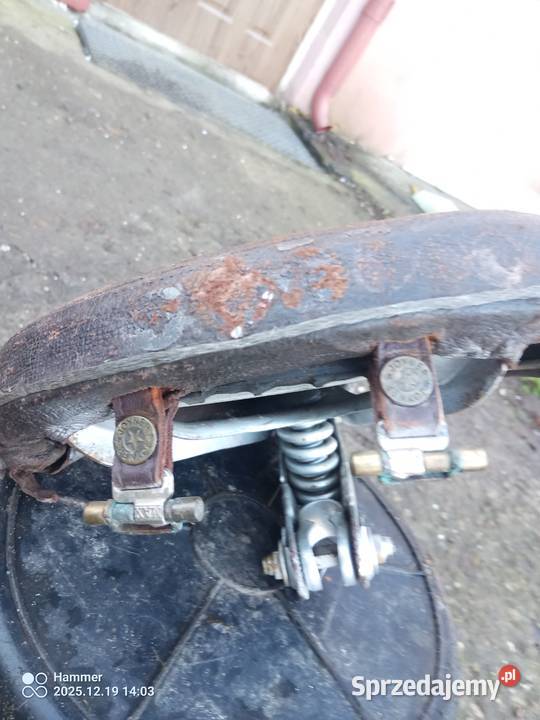 Komar sztywniak DKWNSU Pozostałe Wierzchosławice