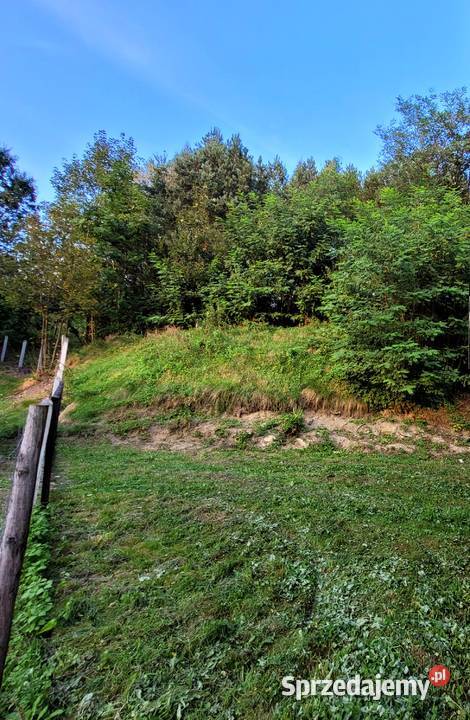 Dom z dużą działką 21 a 21000m2 Dynów