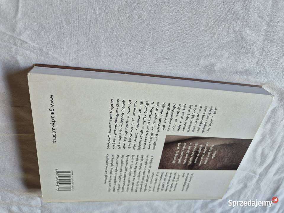 Mózg konia mózg człowieka Brzesko