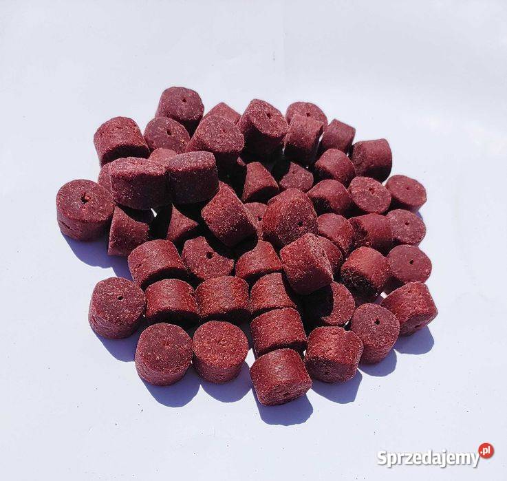 Maszyna do produkcji pelletu wędkarskiego Leżajsk