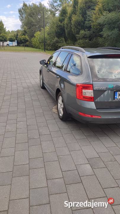 Skoda Octavia ogranicznik prędkości Kraków