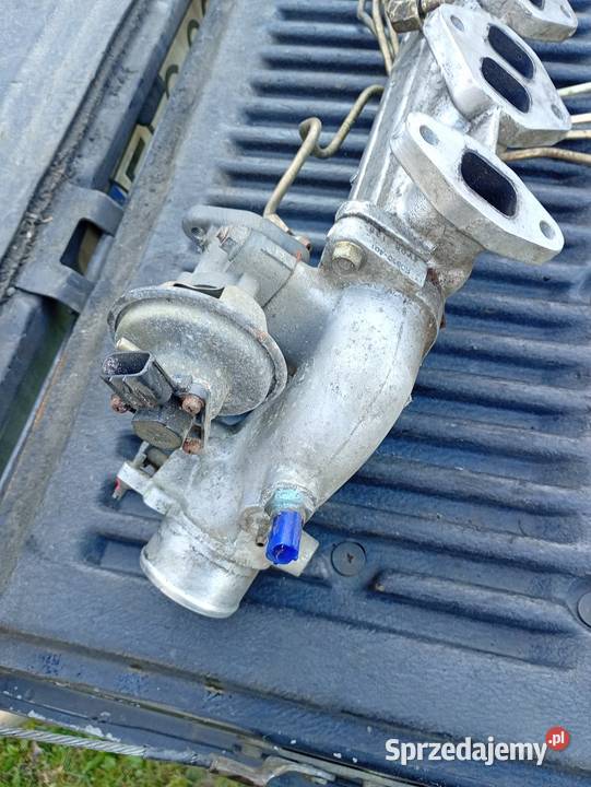 Kolektor ford ranger Łowicz sprzedam