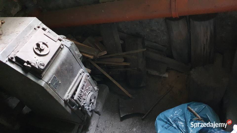Grube pieńki i szczapy drewna opałowego