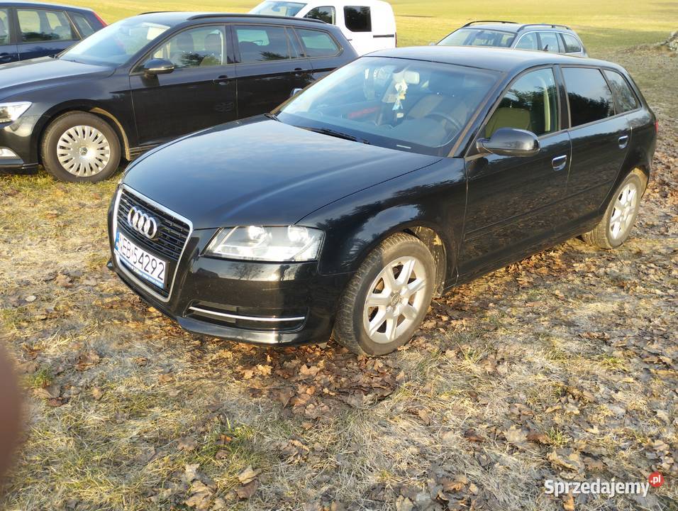 Sprzedam Audi A3 8P HB 5 drzwi 16TDI2012r manualna Tomaszewo