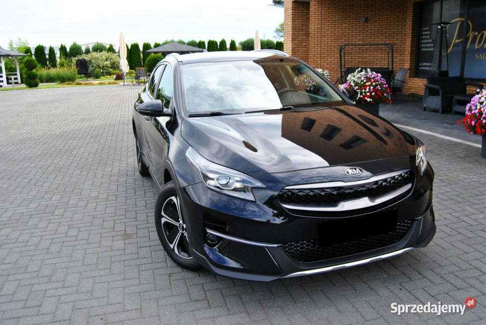 Kia XCeed Serwisowany KIA Oryginalny lakier NAVI Modliborzyce