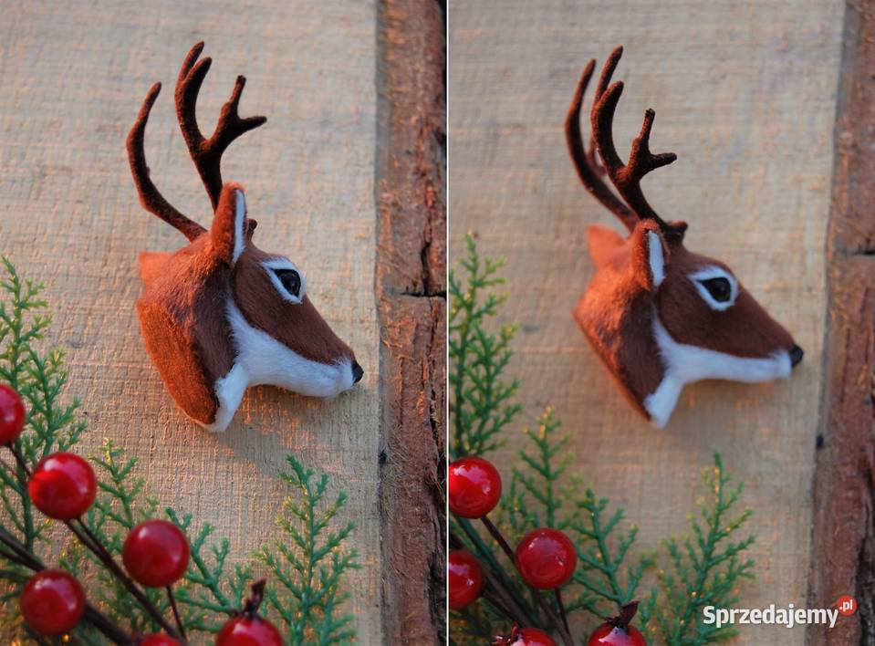 Jeleń głowa jelenia poroże trofeum magnes 3D Lublin