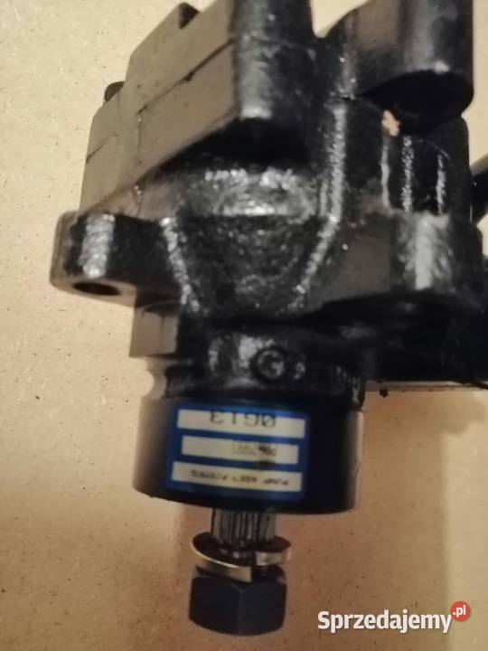 Polonez 19 wspomaganie fso diesel caro truck osobowe Pionki