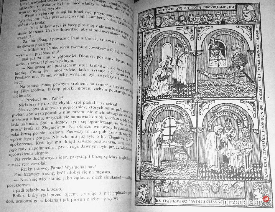 Królewscy synowie Józef Ignacy Kraszewski Chełm sprzedam