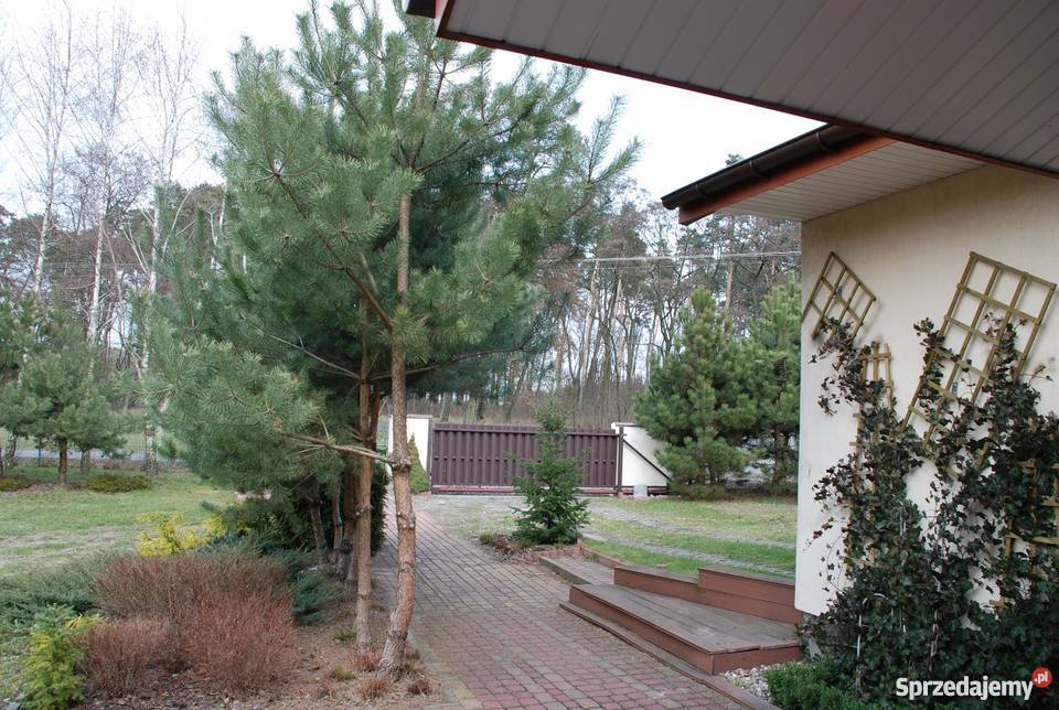 Dom na sprzedaż Lutomierska mieszkalny łódzkie sprzedam