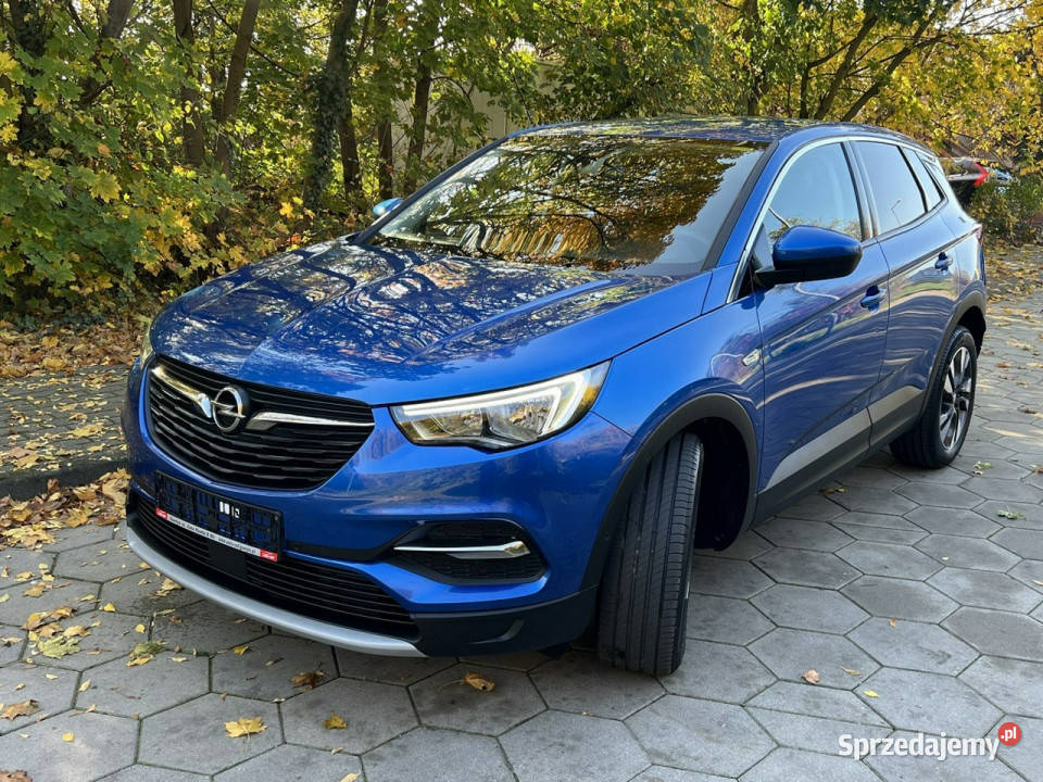 Opel Grandland X Opel Grandland X Navi automatyczna Grandland X Gostyń