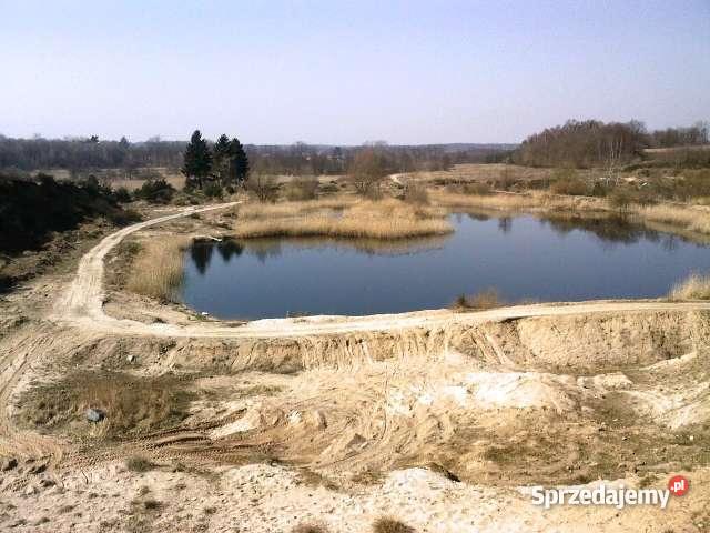 KOPALNIE KRUSZYWA ZIEMIE DZIAŁKĘ POD INWESTYCJE Morowo sprzedam