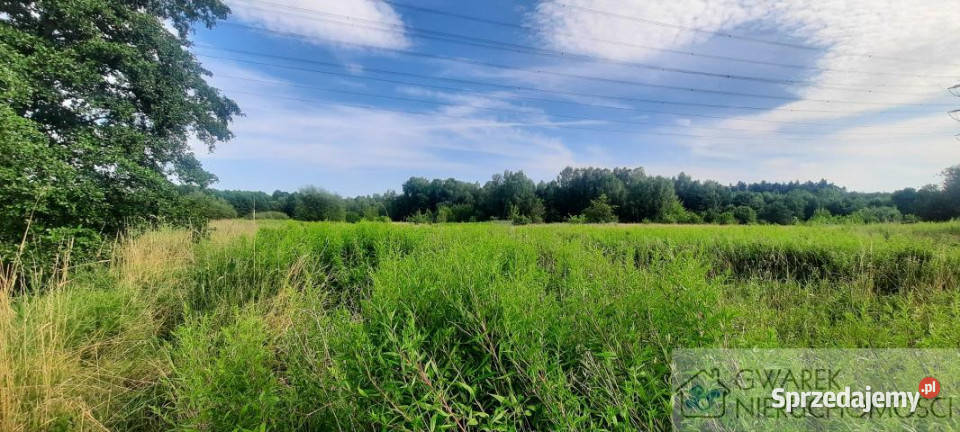 Działka 1700m2 Sarnów śląskie