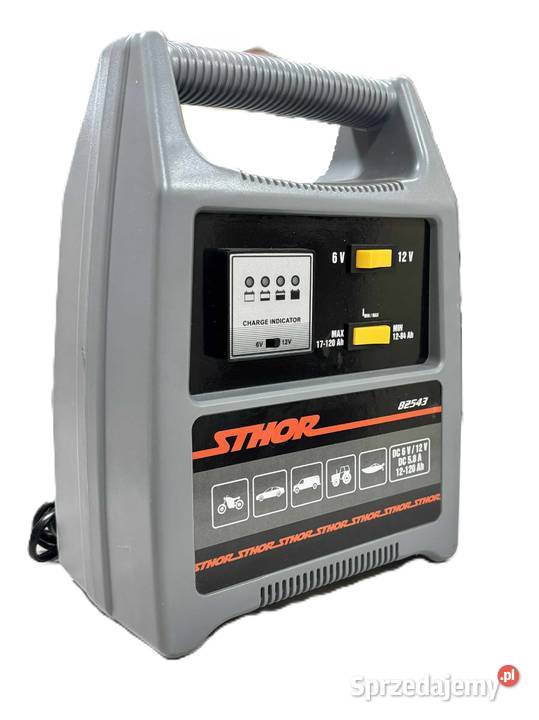 Prostownik Sthor smachodowy