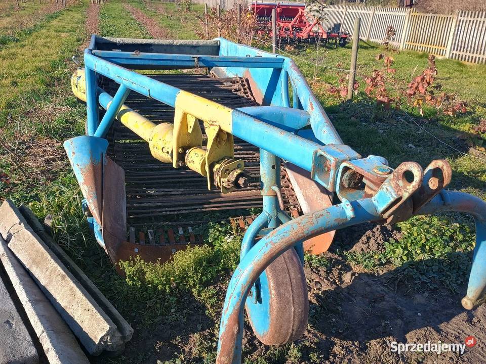 Kopaczka do ziemniaków świętokrzyskie Tuczępy