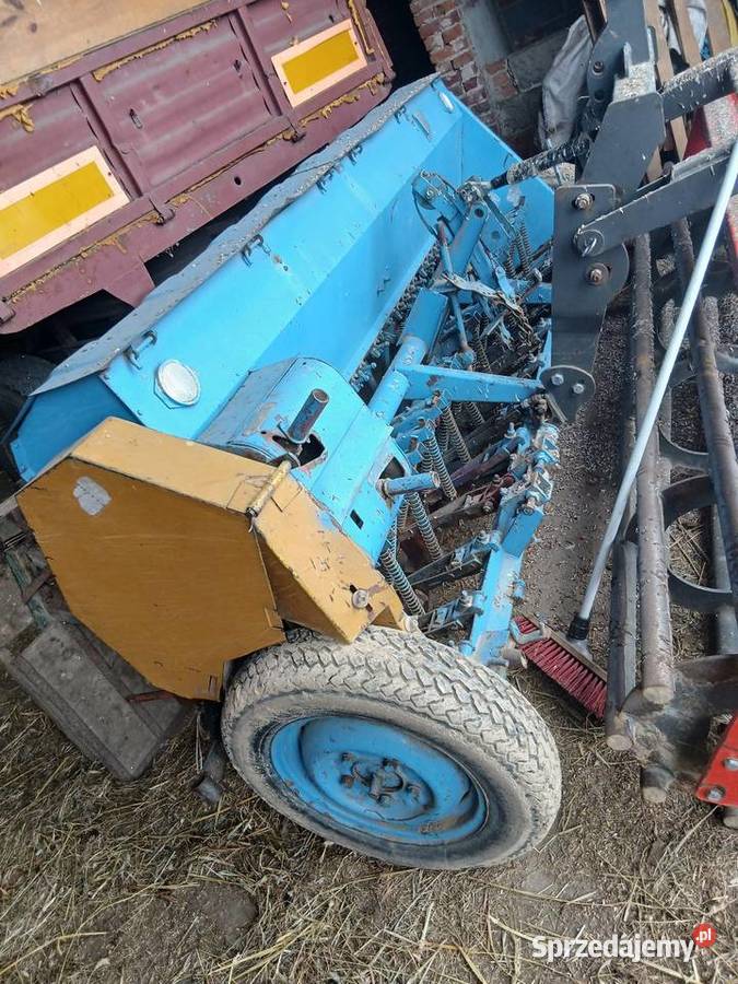 Siewnik poznaniak Skierniewice