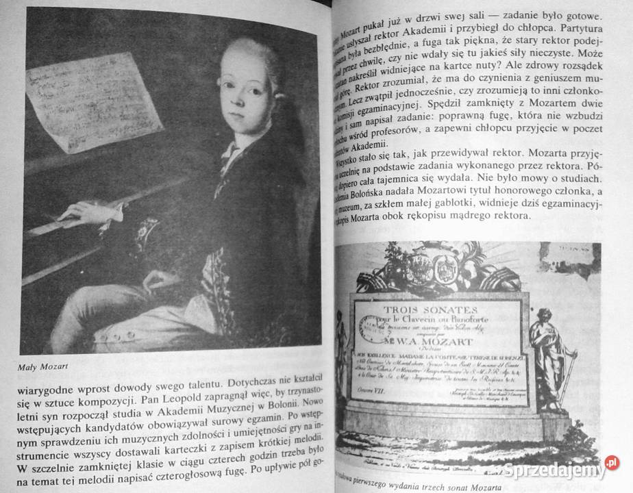 Zaproszenie do muzyki Małgorzata Komorowska lubelskie Chełm