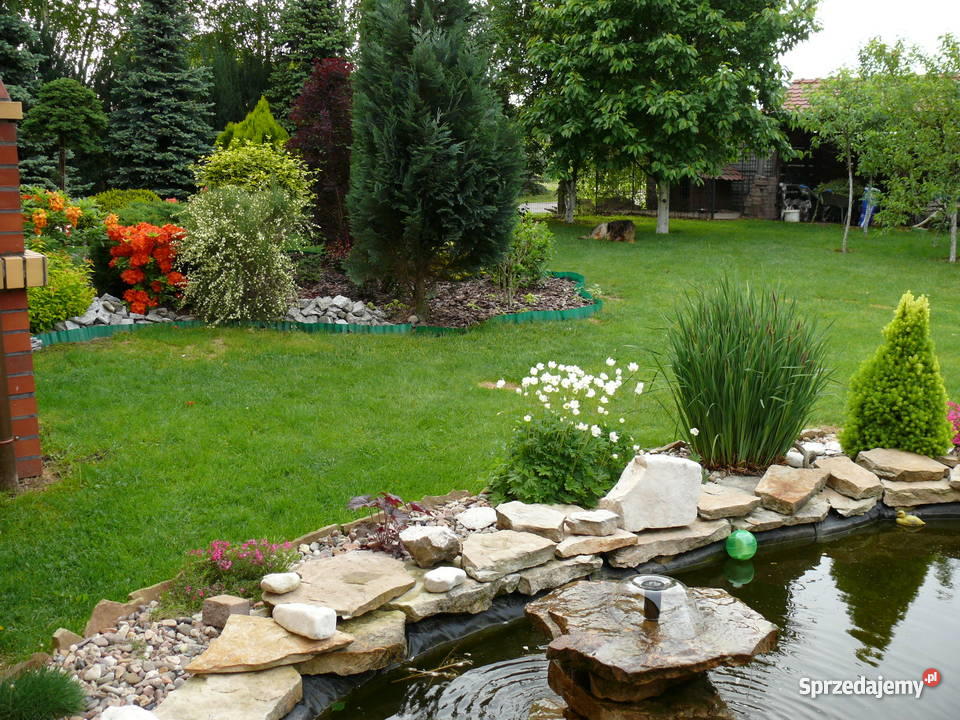 dom w Szewcach 2842zł/m2 dolnośląskie