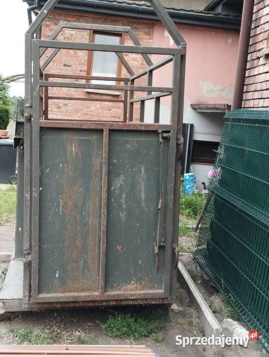 Waga do warzenia bydła Winowno