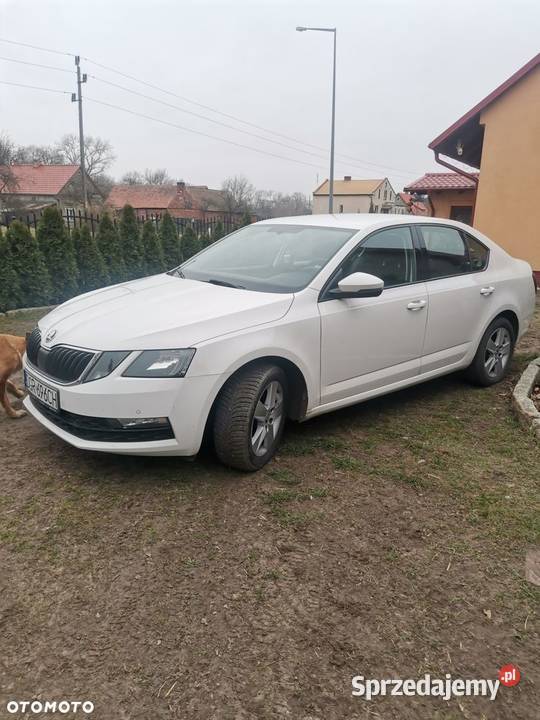 Skoda octavia Hatchback dolnośląskie Wilków