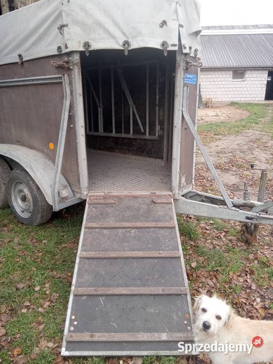 Przyczepka samochodowa